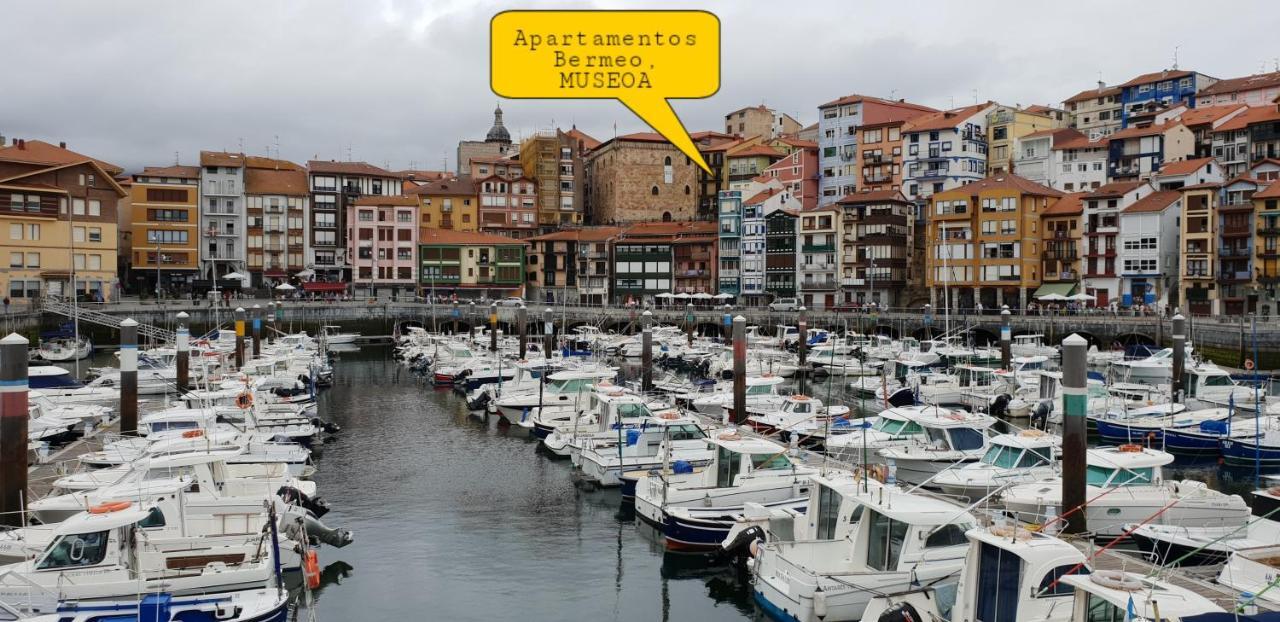Apartamentos Bermeo, Museoa エクステリア 写真